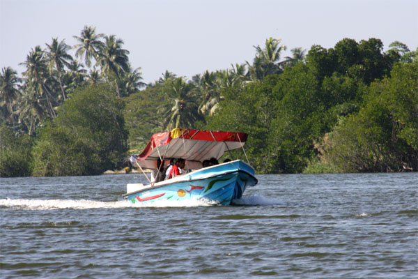 att-49561e242674377.jpg
