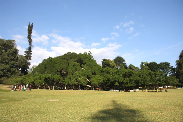 att-495f3e5958e55ka19.jpg