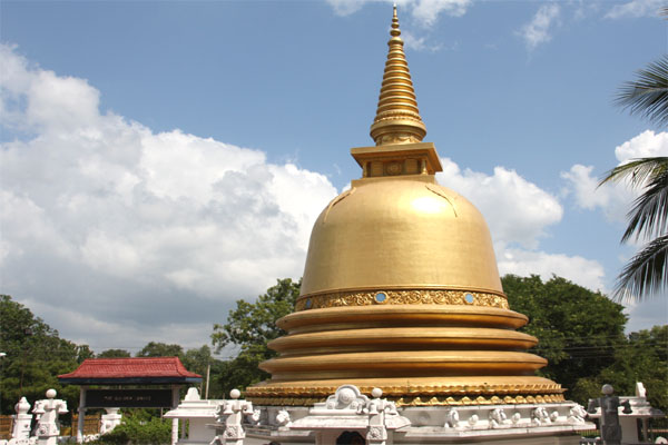 att-495f621f88981ka31.jpg