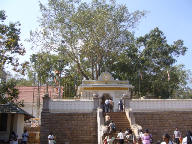 att-4c570881bee86480_.JPG
