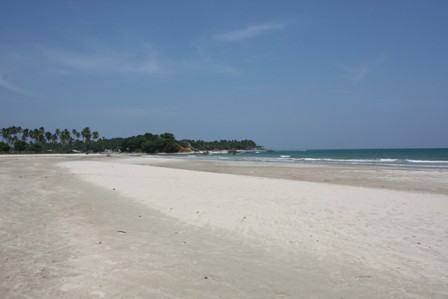 att-4ed5f063987d96037.JPG