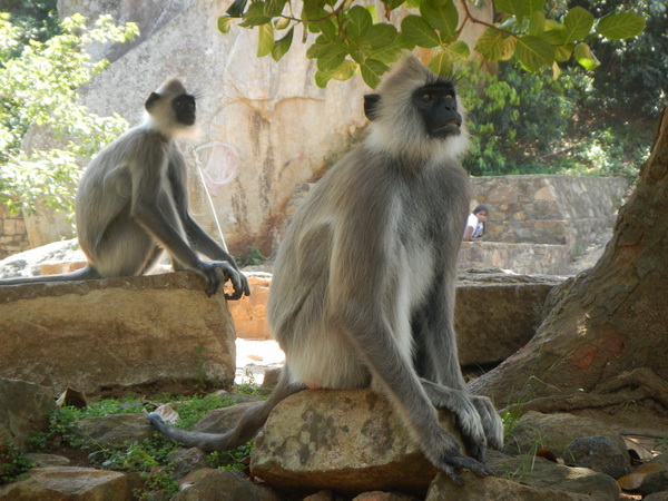 att-4f6f5141ab6802139.JPG
