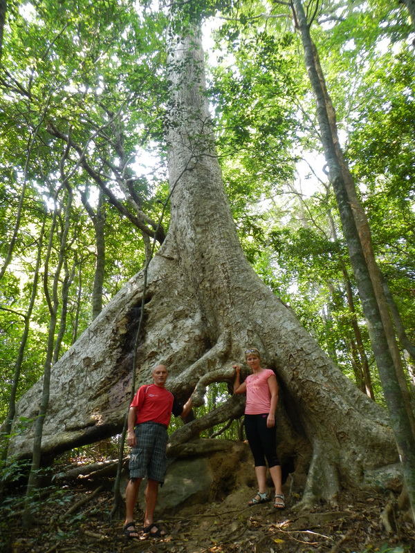 att-4f71fe2f6fa682544.JPG