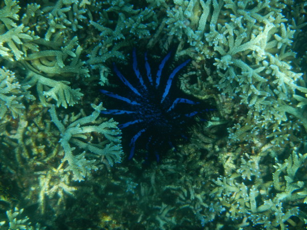 att-4f7ca8171c0f42673.jpg