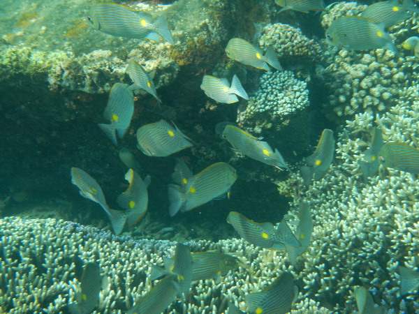 att-4f7caae51e4923640.jpg