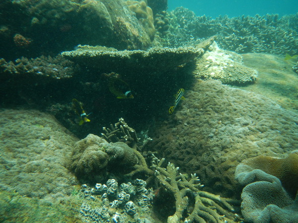 att-514e1389483e46887.JPG
