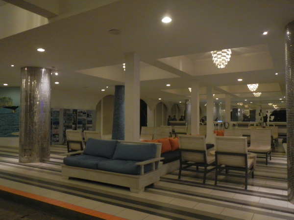 att-514e1e64b62416784.JPG