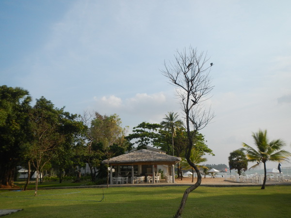 att-514e2c0bee6667000.JPG